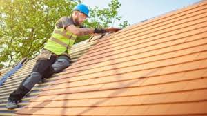 Best Roof Maintenance and Cleaning  in Oral City, FL