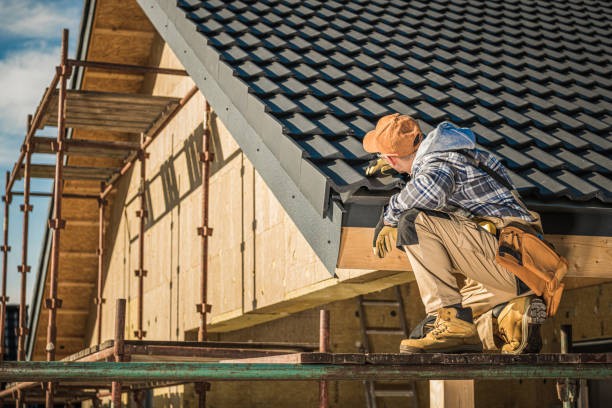 Best Sheet Metal Roofing  in Oral City, FL