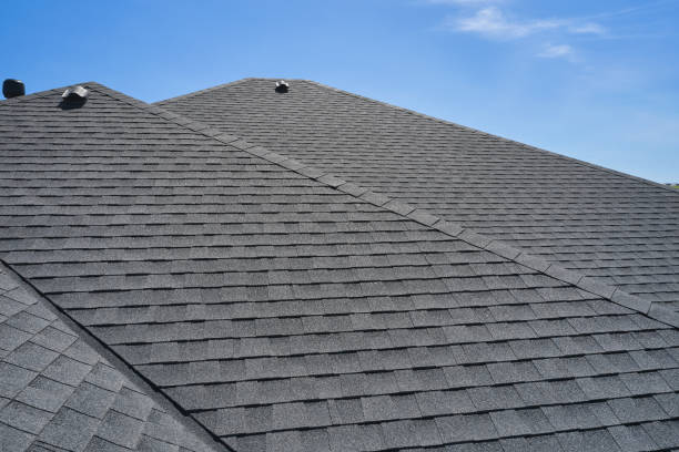 Best Roof Moss and Algae Removal  in Oral City, FL