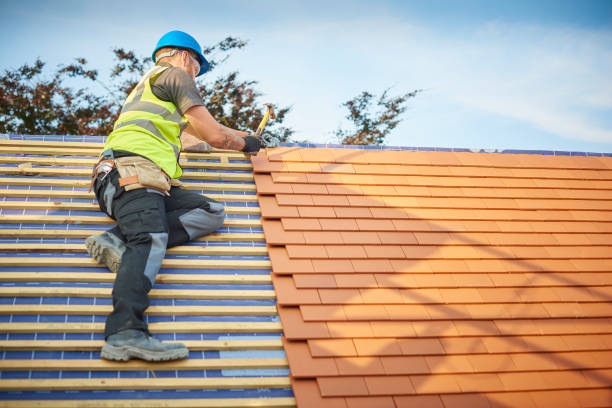 Best Metal Roofing Installation  in Oral City, FL